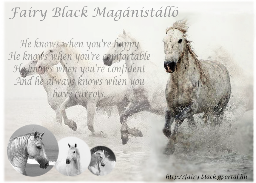 Fairy Black Magnistll
